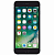iPhone 6 plus